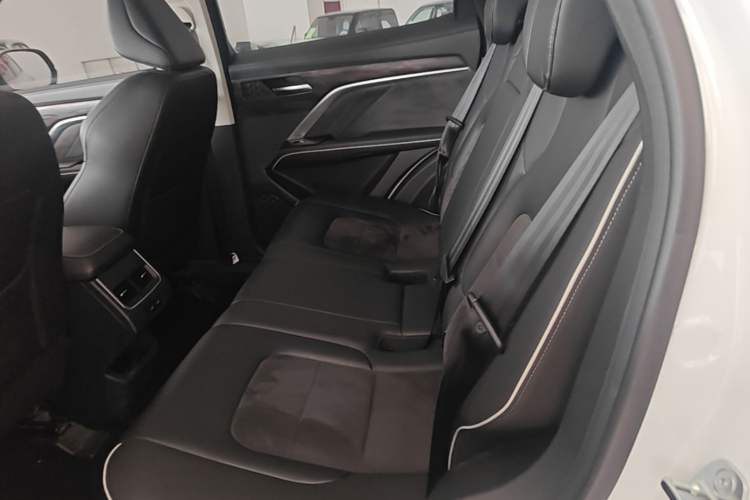 Used Haval H6 2021 National Trend Edition 1.5T Automatic Urban Version Left Rear Seat