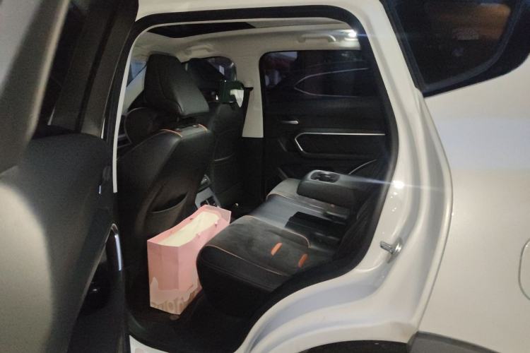 Used Haval H6 2021 2.0 GDIT Automatic GT Luxury Edition Left Rear Seat