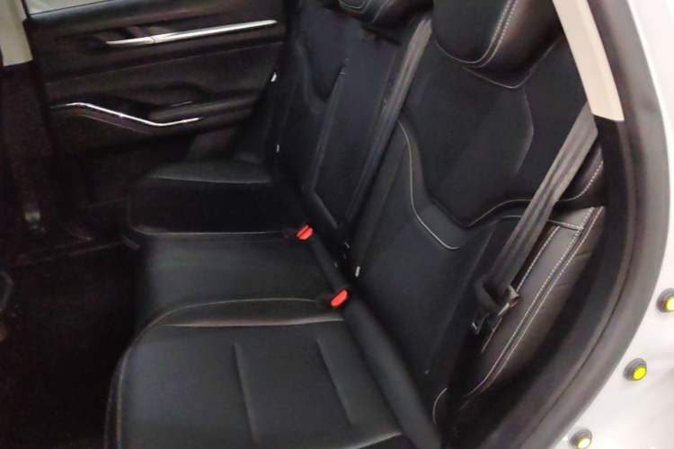 Used Haval H6 2021 3rd Generation 2.0T Automatic Two-Wheel Drive Max Left Rear Seat