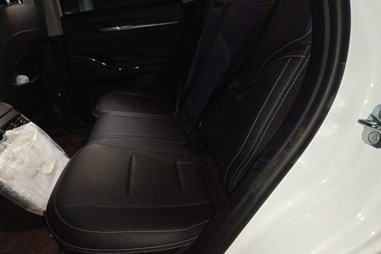 Used Haval H6 2021 3rd Generation 2.0T Automatic All-Wheel Drive Max Left Rear Seat