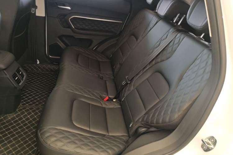 Used Haval H6 2021 1.5T Automatic Urban Edition Left Rear Seat