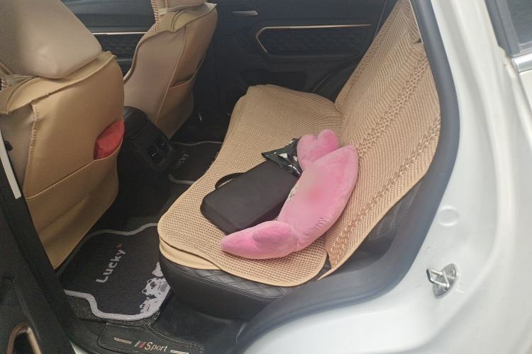 Used Haval H6 2021 1.5 GDIT Automatic Champion Edition Left Rear Seat