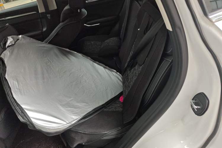 Used Haval H6 2021 3rd Generation 2.0T Automatic Two-Wheel Drive Max Left Rear Seat