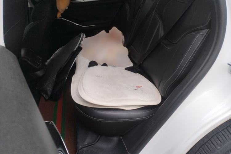 Used Haval H6 2021 3rd Generation 1.5T Automatic Two-Wheel Drive Pro Left Rear Seat
