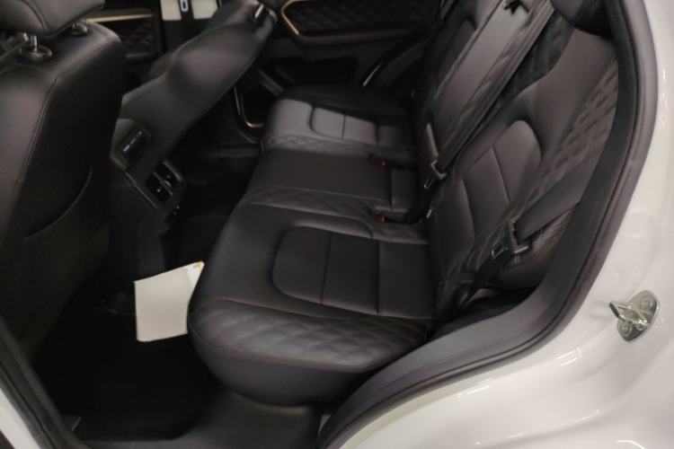 Used Haval H6 2021 1.5 GDIT Automatic Luxury Edition Left Rear Seat