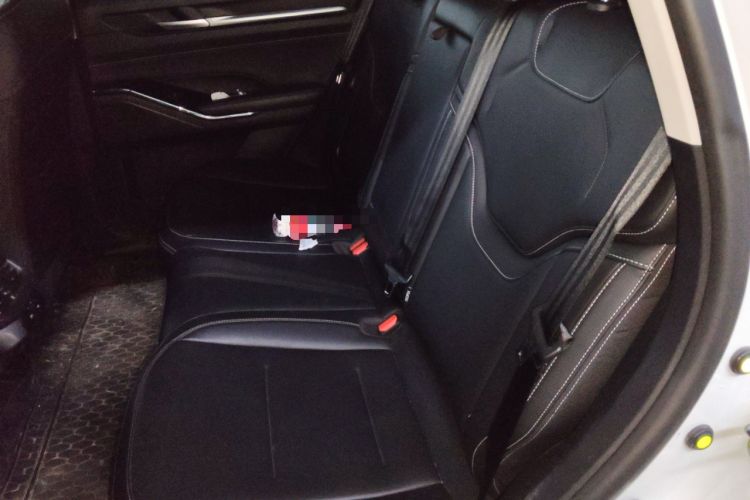 Used Haval H6 2021 3rd Generation 2.0T Automatic Two-Wheel Drive Max Left Rear Seat