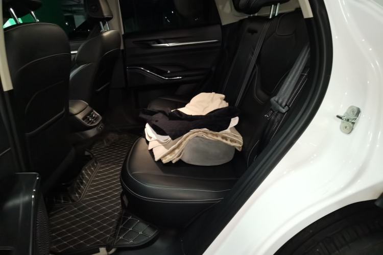 Used Haval H6 2021 3rd Generation 1.5T Automatic Two-Wheel Drive Supreme+ Left Rear Seat