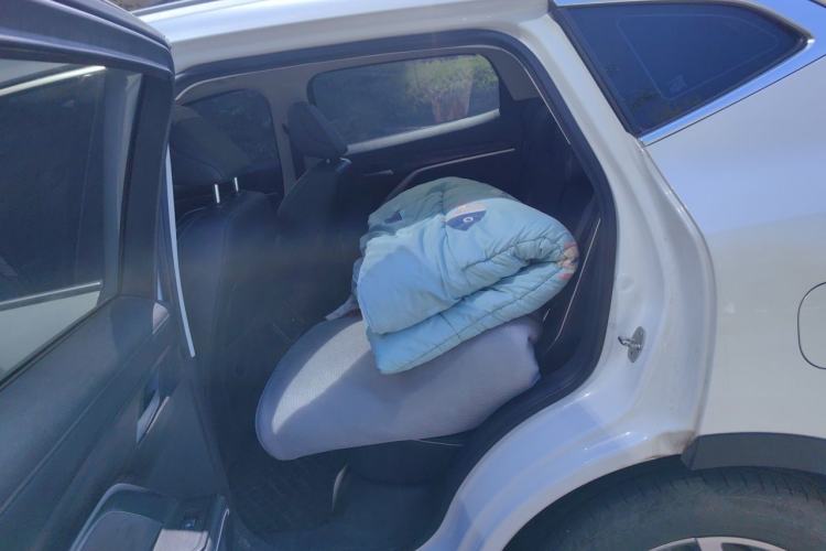 Used Haval H6 2021 National Trend Edition 1.5T Automatic Champion Version Left Rear Seat