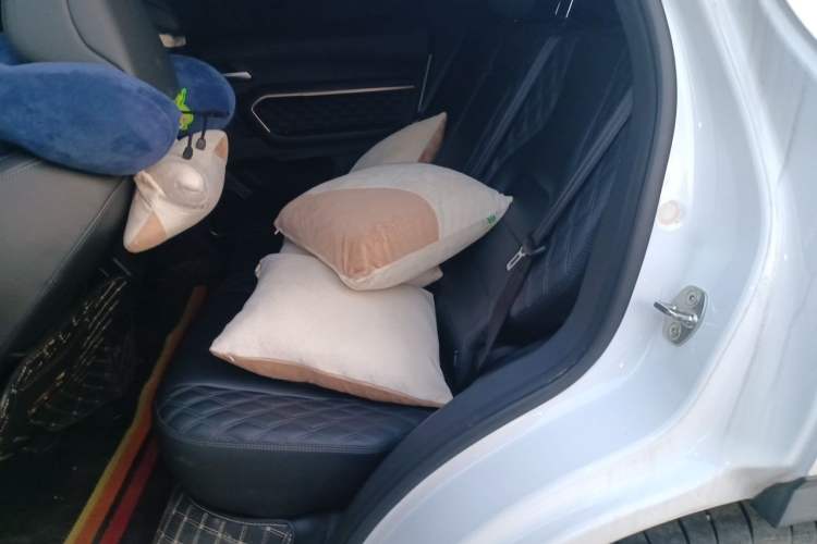 Used Haval H6 2021 1.5T Automatic Champion Edition Left Rear Seat