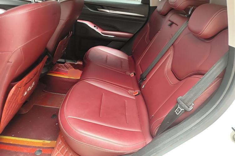 Used Haval H6 2021 3rd Generation 1.5T Automatic Two-Wheel-Drive Supreme Left Rear Seat