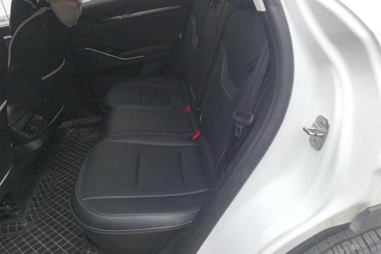 Used Haval H6 2021 3rd Generation 1.5T Automatic Two-Wheel-Drive Supreme Left Rear Seat
