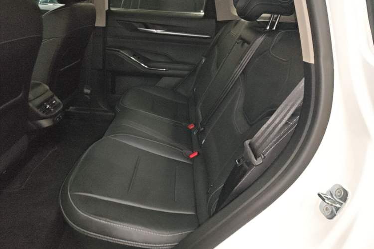 Used Haval H6 2021 3rd Generation 2.0T Automatic All-Wheel Drive Supreme+ Left Rear Seat