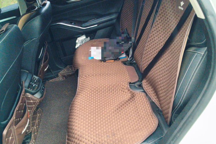 Used Haval H6 2021 3rd Generation 1.5T Automatic Two-Wheel-Drive Supreme Left Rear Seat