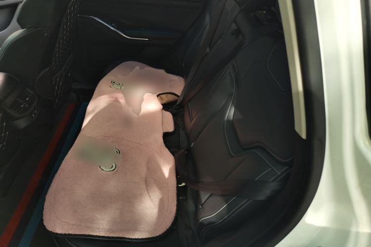 Used Haval H6 2021 3rd Generation 1.5T Automatic Two-Wheel-Drive Supreme Left Rear Seat