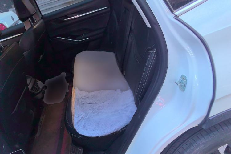 Used Haval H6 2021 3rd Generation 1.5T Automatic Enjoyment Model Left Rear Seat