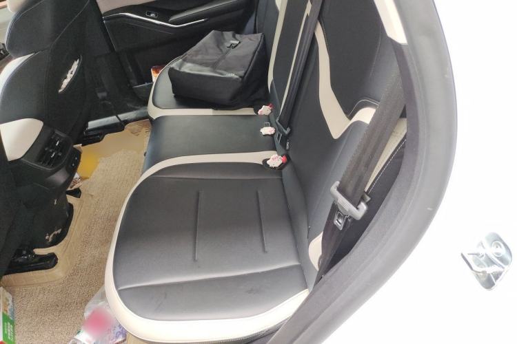 Used Haval H6 2021 3rd Generation 2.0T Automatic Two-Wheel Drive Max Left Rear Seat