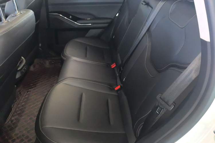 Used Haval H6 2021 3rd Generation 2.0T Automatic Two-Wheel Drive Max Left Rear Seat