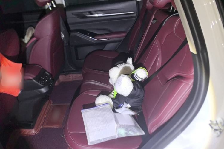 Used Haval H6 2021 3rd Generation 1.5T Automatic Two-Wheel Drive Max Left Rear Seat