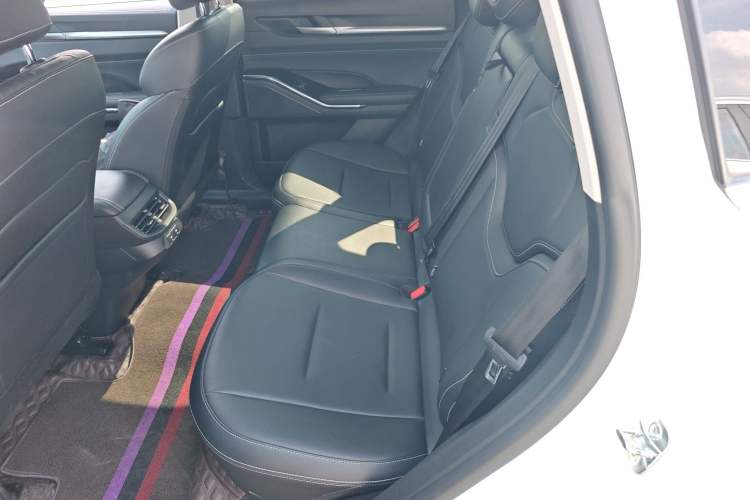 Used Haval H6 2021 3rd Generation 2.0T Automatic All-Wheel Drive Max Left Rear Seat