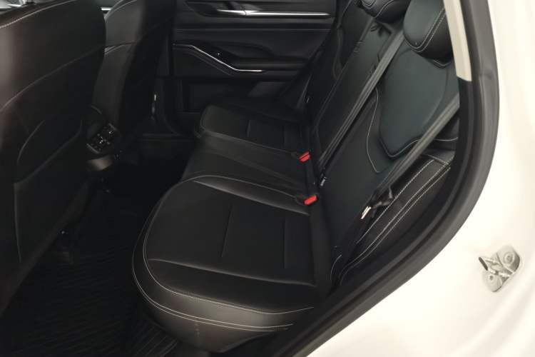 Used Haval H6 2021 3rd Generation 1.5T Automatic Two-Wheel Drive Pro Left Rear Seat