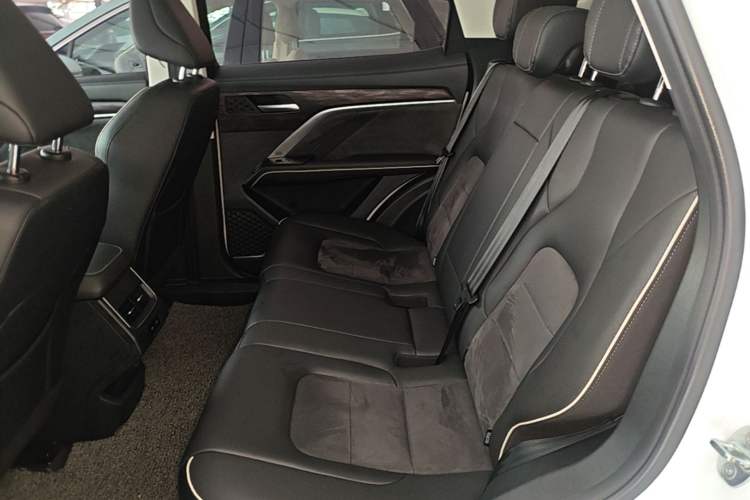 Used Haval H6 2021 China Trend Edition 1.5 GDIT Automatic Champion Version Left Rear Seat