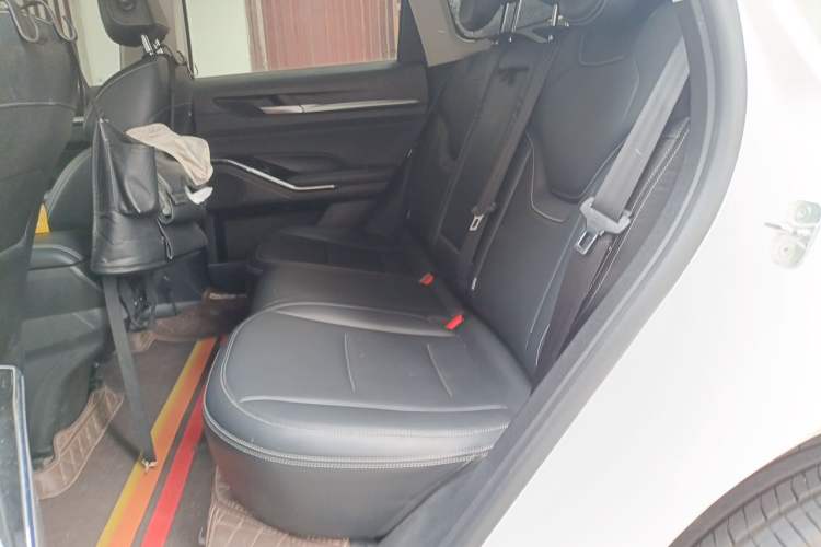 Used Haval H6 2021 3rd Generation 2.0T Automatic Two-Wheel Drive Max Left Rear Seat