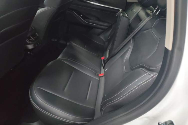 Used Haval H6 2021 3rd Generation 2.0T Automatic Two-Wheel Drive Max Left Rear Seat