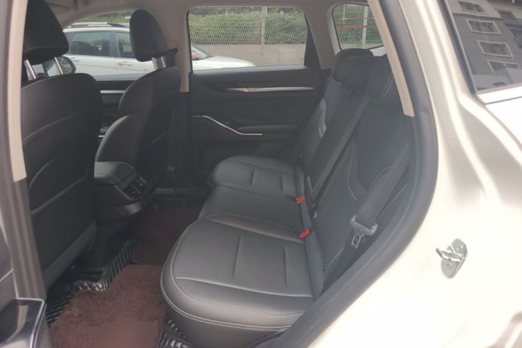 Used Haval H6 2021 3rd Generation 2.0T Automatic Two-Wheel Drive Max Left Rear Seat