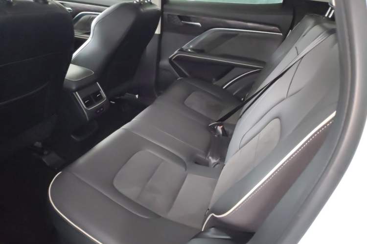 Used Haval H6 2021 National Trend Edition 1.5T Automatic Urban Version Left Rear Seat