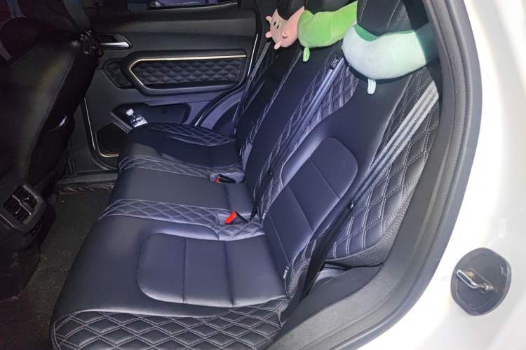 Used Haval H6 2021 1.5T Automatic Urban Edition Left Rear Seat