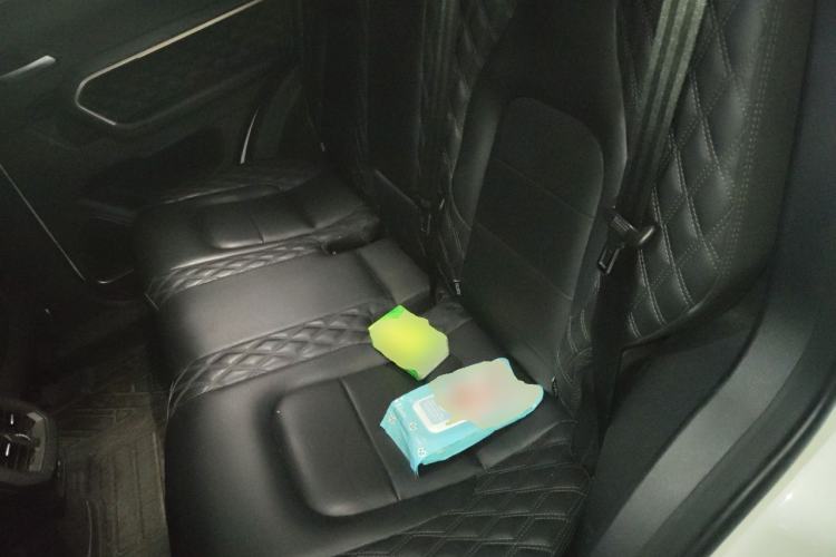 Used Haval H6 2021 1.5T Automatic Champion Edition Left Rear Seat