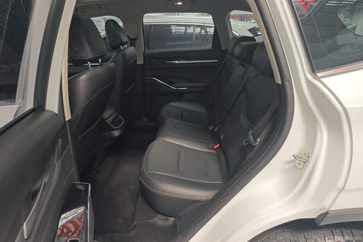 Used Haval H6 2021 3rd Generation 1.5T Automatic Two-Wheel Drive Max Left Rear Seat