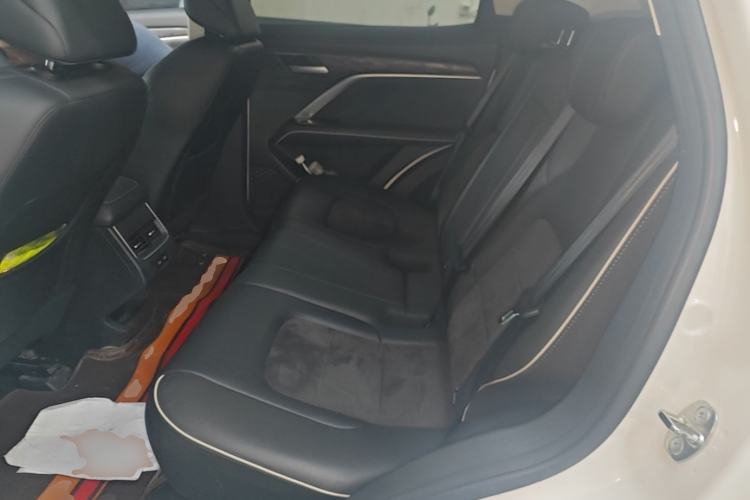 Used Haval H6 2021 National Trend Edition 1.5T Automatic Urban Version Left Rear Seat