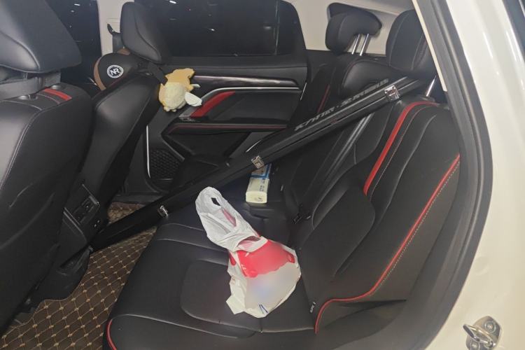 Used Haval H6 2021 National Trend Edition 1.5T Automatic Champion Version Left Rear Seat