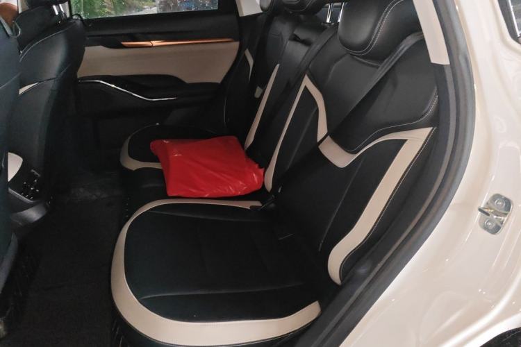 Used Haval H6 2021 3rd Generation 2.0T Automatic Two-Wheel Drive Max Left Rear Seat