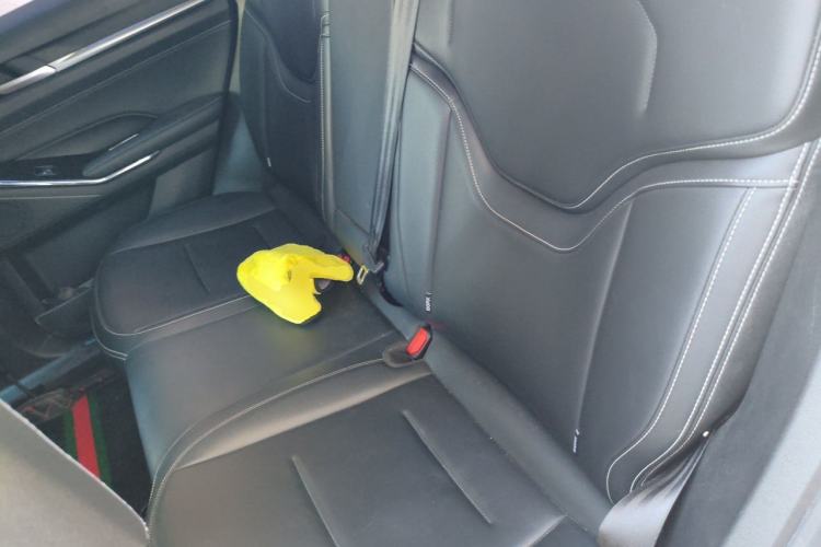 Used Haval H6 2021 3rd Generation 2.0T Automatic Two-Wheel Drive Max Left Rear Seat