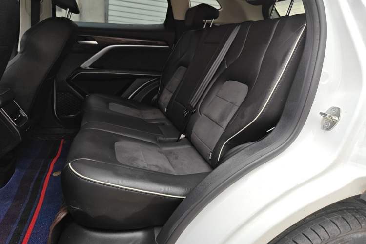 Used Haval H6 2021 National Trend Edition 1.5T Automatic Urban Version Left Rear Seat