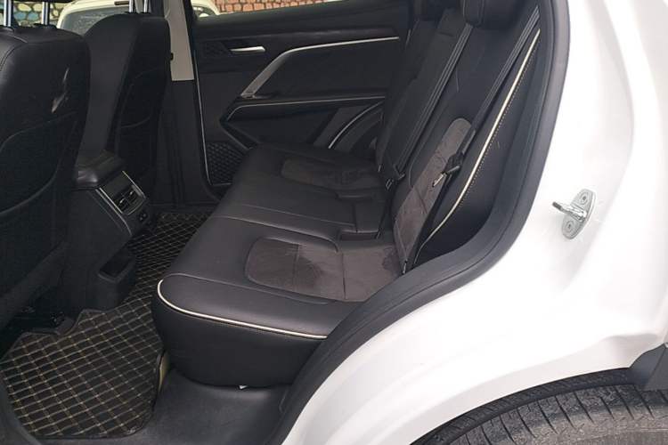Used Haval H6 2021 National Trend Edition 1.5T Automatic Champion Version Left Rear Seat