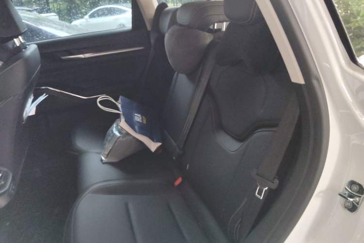 Used Haval H6 2021 3rd Generation 2.0T Automatic Two-Wheel Drive Max Left Rear Seat