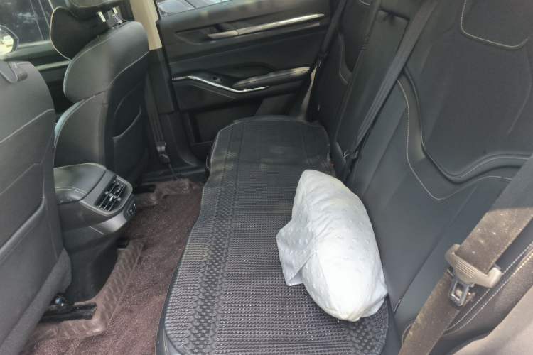 Used Haval H6 2021 3rd Generation 1.5T Automatic Two-Wheel Drive Pro Left Rear Seat