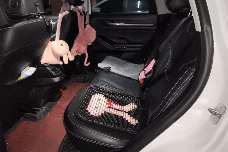 Used Haval H6 2021 3rd Generation 1.5T Automatic Two-Wheel Drive Max Left Rear Seat