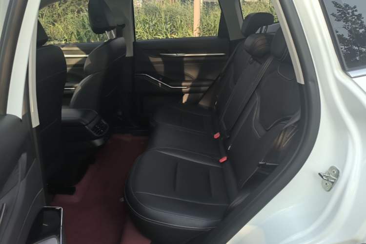 Used Haval H6 2021 3rd Generation 2.0T Automatic Two-Wheel Drive Max Left Rear Seat
