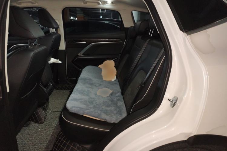Used Haval H6 2021 National Trend Edition 2.0 GDIT Automatic Champion Version Left Rear Seat
