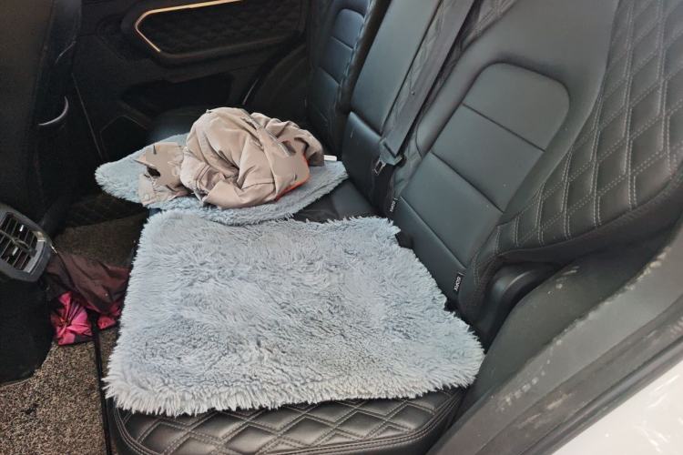 Used Haval H6 2021 1.5 GDIT Automatic Champion Edition Left Rear Seat