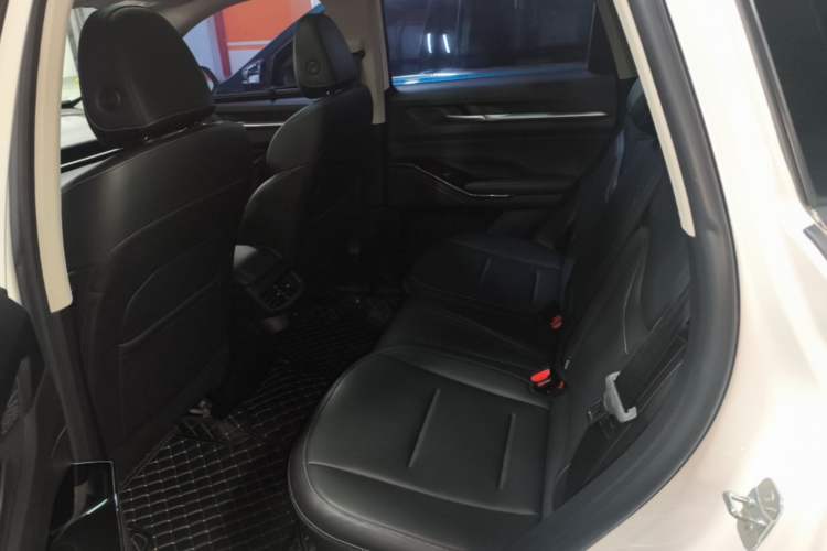 Used Haval H6 2021 3rd Generation 2.0T Automatic All-Wheel Drive Max Left Rear Seat