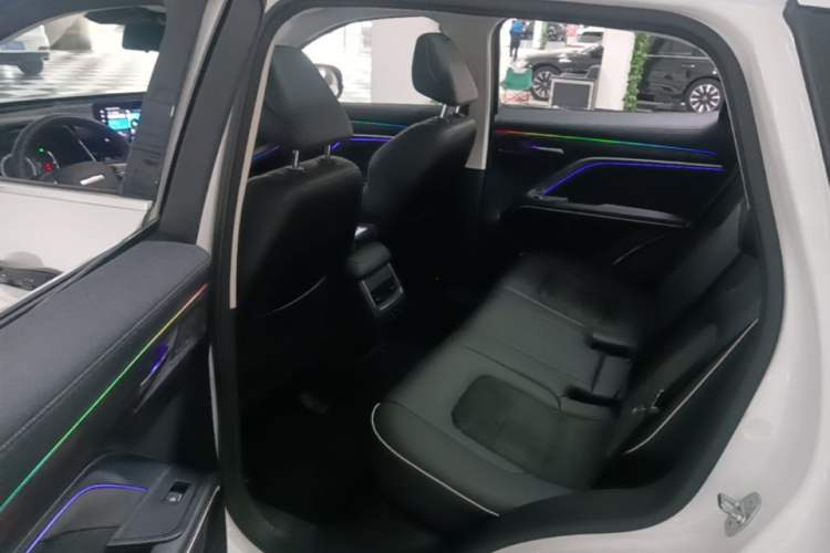 Used Haval H6 2021 1.5T Automatic Champion Edition Left Rear Seat