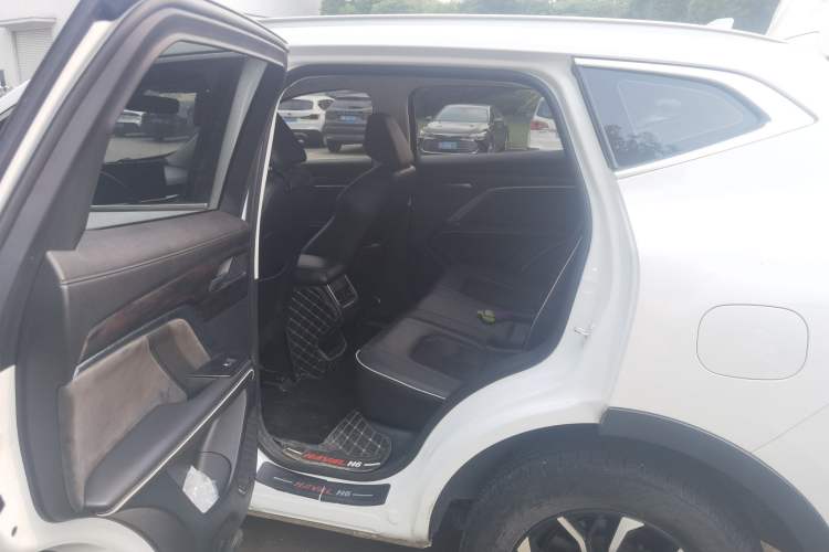 Used Haval H6 2021 National Trend Edition 1.5T Automatic Urban Version Left Rear Seat