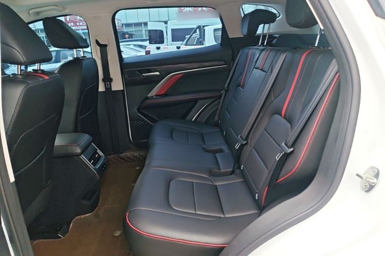 Used Haval H6 2021 National Trend Edition 1.5T Automatic Urban Version Left Rear Seat