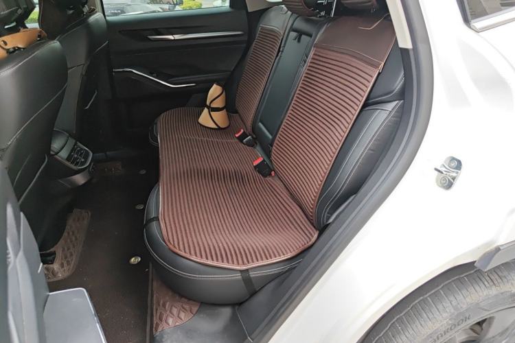 Used Haval H6 2021 3rd Generation 2.0T Automatic Two-Wheel Drive Max Left Rear Seat