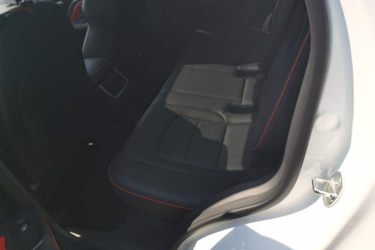 Used Haval H6 2021 National Trend Edition 1.5T Automatic Urban Version Left Rear Seat